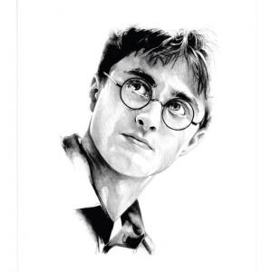 Affiche Harry Potter - Portrait