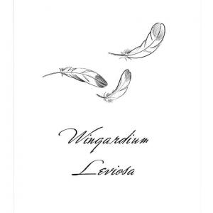 Affiche Wingardium Leviosa